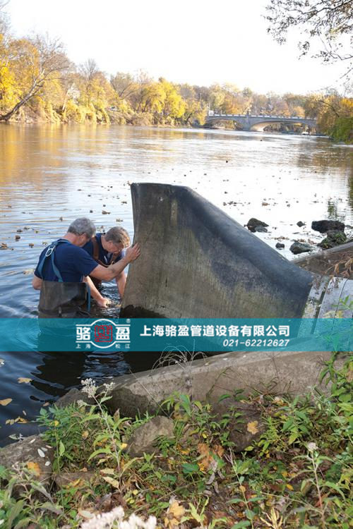 重慶市涪陵區(qū)駱盈法蘭式鴨嘴閥在國外項目中的使用