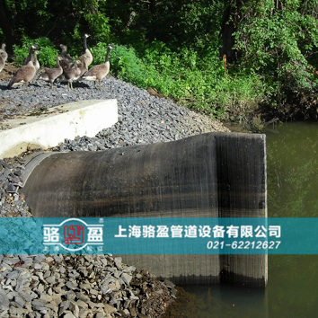 直嘴<a href=http://www.sweetlilcharms.com target=_blank class=infotextkey>橡膠止回閥</a>運(yùn)行現(xiàn)場(chǎng)